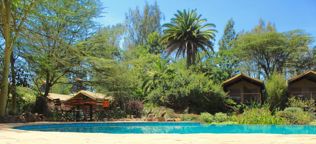 Wildebeest Eco Camp Hotel Nairobi Exterior foto