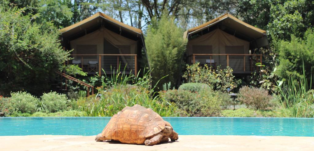 Wildebeest Eco Camp Hotel Nairobi Exterior foto