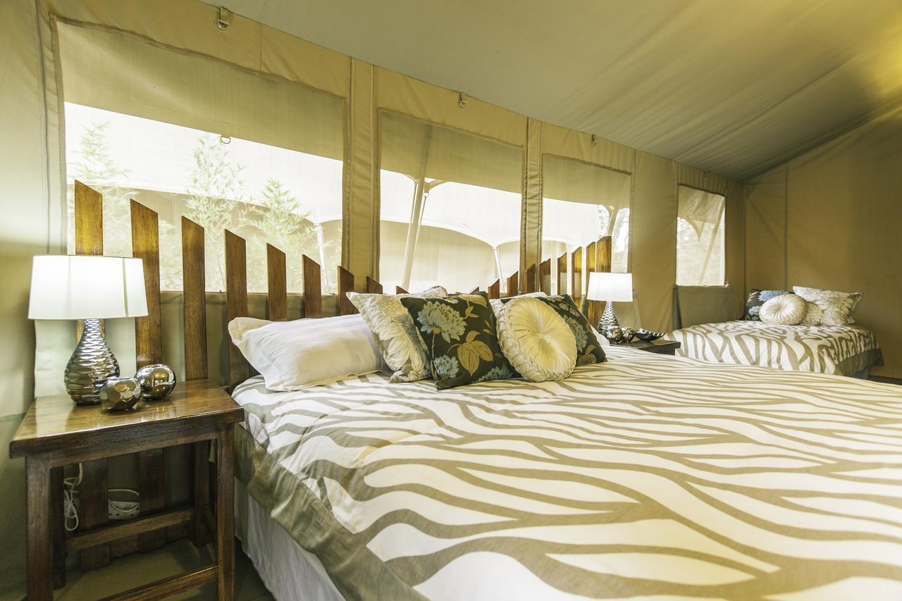 Wildebeest Eco Camp Hotel Nairobi Cameră foto